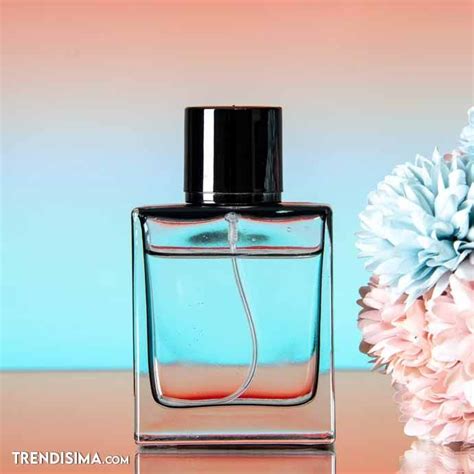 clones perfumes stradivarius
